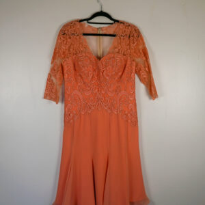 Coral Pink Lace and chiffon Dress